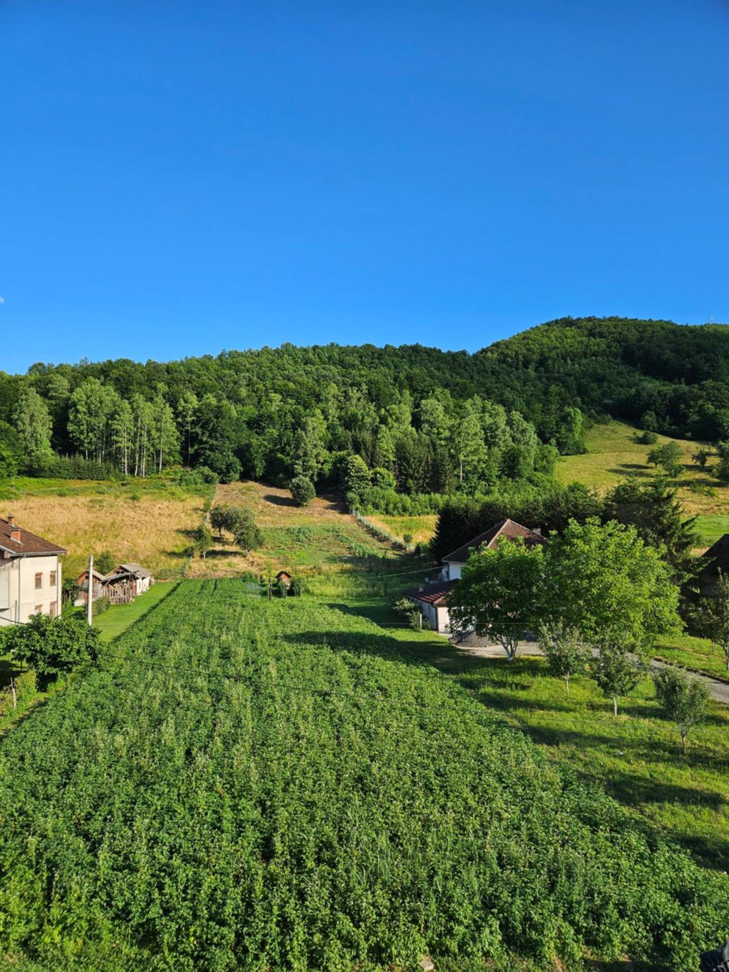 Apartmani Spa Bjelasica Bijelo Polje Bagian luar foto